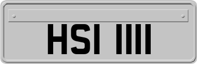 HSI1111