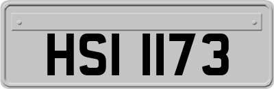 HSI1173