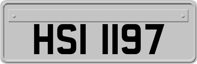 HSI1197