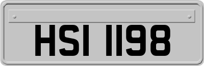 HSI1198