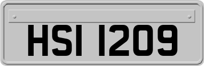 HSI1209