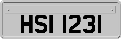 HSI1231