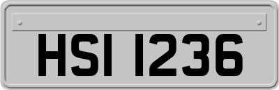 HSI1236