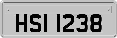 HSI1238