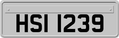 HSI1239
