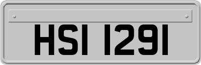 HSI1291