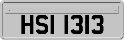 HSI1313