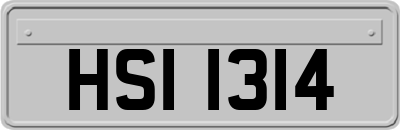 HSI1314