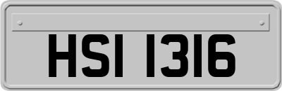 HSI1316