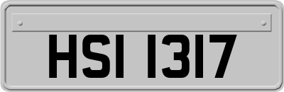 HSI1317