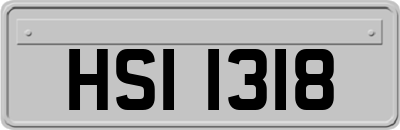 HSI1318