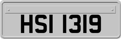 HSI1319