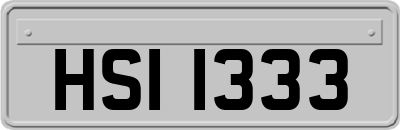 HSI1333