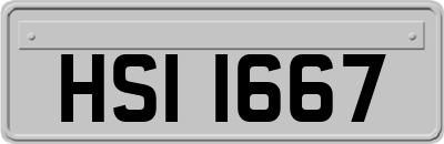 HSI1667