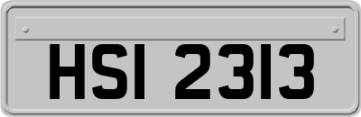 HSI2313