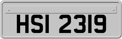 HSI2319