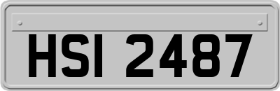 HSI2487