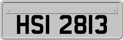 HSI2813