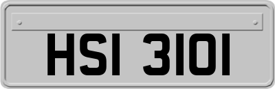 HSI3101