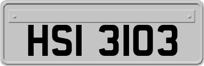 HSI3103