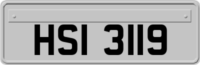 HSI3119