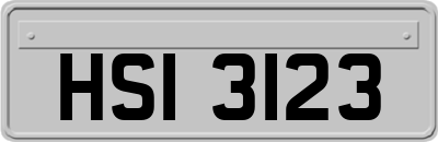 HSI3123