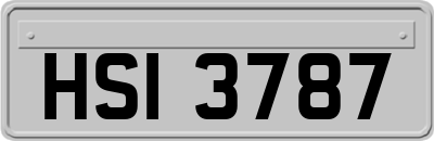 HSI3787