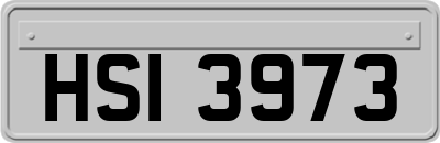 HSI3973