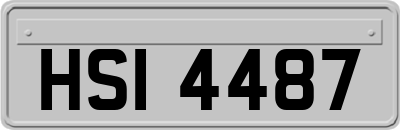 HSI4487