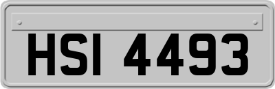 HSI4493