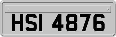 HSI4876