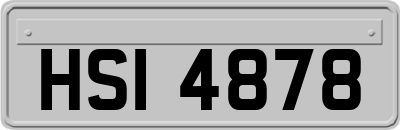 HSI4878