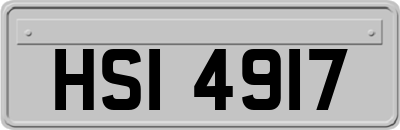 HSI4917