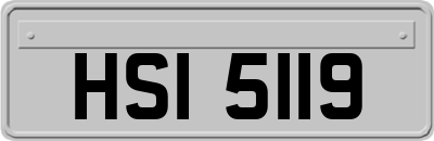 HSI5119