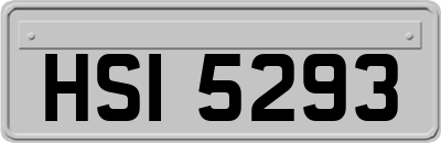 HSI5293