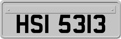 HSI5313
