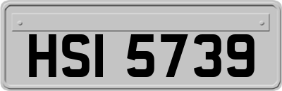 HSI5739