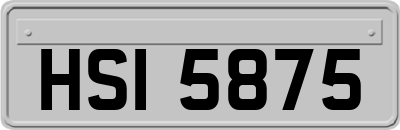 HSI5875