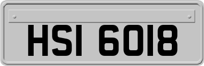 HSI6018