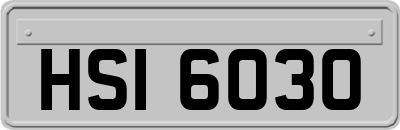 HSI6030
