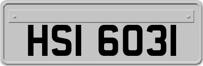 HSI6031