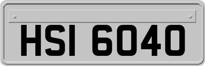 HSI6040