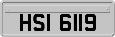 HSI6119
