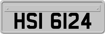 HSI6124