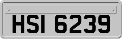 HSI6239