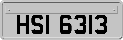HSI6313