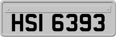 HSI6393