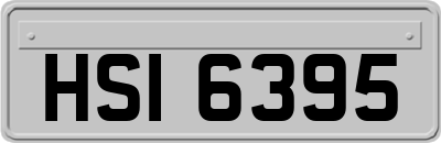 HSI6395