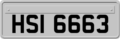 HSI6663