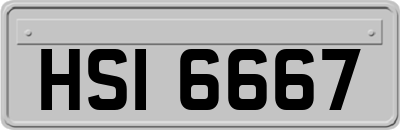 HSI6667